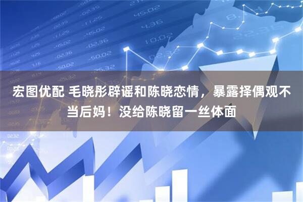 宏图优配 毛晓彤辟谣和陈晓恋情，暴露择偶观不当后妈！没给陈晓留一丝体面